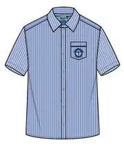 Prep - Yr9 SS Blue Stripe With Emb