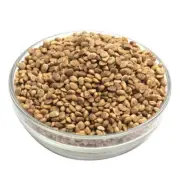 Almondette Kernels , Chironji Seeds, Charoli Dry Fruit,Chiraunji Dana -100GM