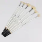 6Pcs Set Fan Artist Paint Pure Brush Acrylic Painting Watercolor Hog Oil Bristle