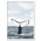 Humpback Whale Tail Print. Whale in Ocean Poster. Minimal Modern Whale | ANA-77