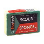 Stayfresh Scourer Sponges x 1