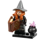 LEGO Dungeons & Dragons coldnd-12 Tasha the Witch Queen Complete BRAND NEW