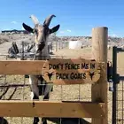 Organic Goat Milk soap B and B Goat Milk Soap And Don’t Fence Me In Pack Goats