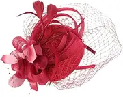 [NULYLU] Elegant Womens Fascinator Hat with Plume and Mesh Versatile Headband Hair Clip for Tea Party Wedding Banquet and Special Events Comfortable Fit for Head
