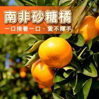 在飛比找momo購物網優惠-【台灣鮮果】南非無籽砂糖橘(3斤裝/箱)