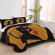 Allenjoy Queen Size Galactic Battle Saga Quilt Bedspreads Anime Bed Set Bedding Coverlet Fabric Washable with 2 Pillow Shams SC00139-007
