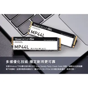 TEAM 十銓 MP44L M.2 PCIe Gen4x4 SSD 1TB 2TB 固態硬碟