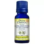 Organic Essential Oil Tea Tree Lemon-Scented 15 Ml By Divine Essence