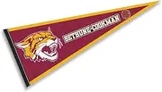 College Flags and Banners Co. Bethune Cookman Wildcats Pennant