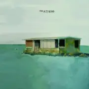 STEVENS , THE - THE STEVENS NEW VINYL