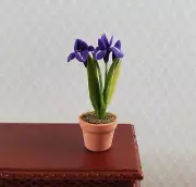 Dollhouse Purple Irises Plant in Terra Cotta Planter 1:12 Scale Miniature Garden