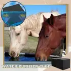 Water Purifier Cubes Activate Carbon High-Efficiency Water Purifications Tool