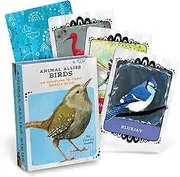 Em & Friends Animal Allies Birds Oracle Deck by Jessica Swift: an Uplifting Oracle Deck with Guidebook, 50 Cards