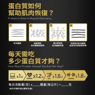 【ON 歐恩】ProGainer 金牌頂尖高熱量乳清蛋白 5.09磅(雙倍巧克力)