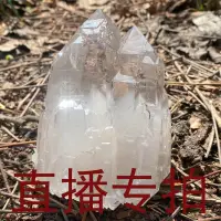 在飛比找蝦皮購物優惠-直播專拍 蝦皮客服 聯繫後臺