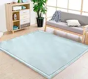 Coral Velvet Rug for Bedroom Dormitory Yoga,Home Decor for Living Room,Educational Classroom Nursery Bedroom Crawling Mat Non-Slip Rug 2cm-H- 200 * 320cm