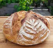 Dehydrated Sourdough Starter Boudin's Bakery San Francisco - 15 Gram Bag