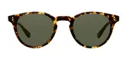 Garrett Leight CLEMENT SUN TUT-PG15 Men's Sunglasses Tortoiseshell Size 46