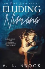 Eluding Nirvana by V.L. Brock (English) Paperback Book