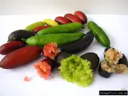 Microcitrus australasica Finger lime Tree