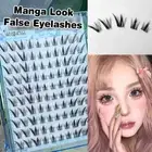 No Glue Needed Fairy Individual Lashes Spiky DIY Eyelash Extensions