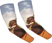 [FHEDVBN] Camels Rest Desert Arm Sleeves Compression Arm Covers for Men Women Outdoor Sun Sleeves Cooling Sports Sleeve, Black