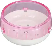 Hamster Exercise Wheel Quiet Running Platform for Small Pets Golden Bear Sugar Glider