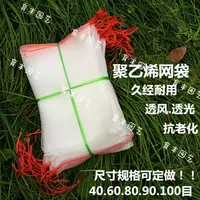 在飛比找樂天市場購物網優惠-蔬菜防蟲袋 尼龍種子網袋水稻浸種袋水果瓜果蔬菜防蟲袋防果蠅紗