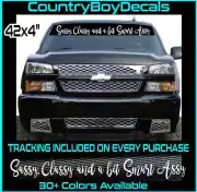 Sassy Classy and a bit Smart Assy VINYL DECAL 42" Truck Car Princess Queen Girl
