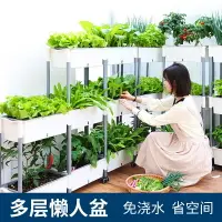 在飛比找樂天市場購物網優惠-自吸水種菜盆 種菜箱 陽台種植箱 種植盆 自吸水多層組合立體