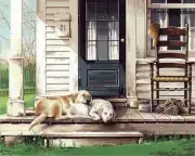 Paint Works Paint By Number Kit 20"X16" Lazy Dog Day