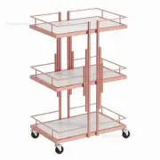 Luxury Iron Salon Trolleys Salon Furniture Manicure Mobile Tools Trolley Modern