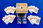 STIHL 36RM100FT Rapid Micro Chain or 3/8 x .063" 100 Foot Roll # 3652 000 1640
