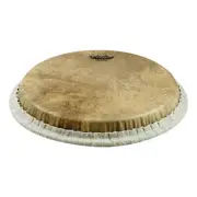 Conga, Tucked, 11 Skyndeep, Calfskin Graphic Drum Head