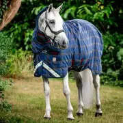 Horseware Rhino Plus Vari-Layer Turnout (250g Medium) - Limited Edition Holiday