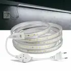 AC 110V 220V LED Strip Lights 2835SMD 120LEDs/m Flexible Waterproof EU/US Plug