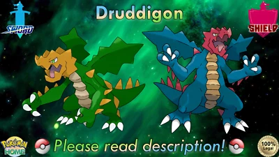 ⚔️Shiny/Non-shiny Druddigon 6IV️Pokémon Sword/Shield HOME (Legal)