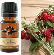 Gumleaf Fragrance Strawberry Fragrant Oil - 10ml, Cruelty Free & Vegan, Phthalate-Free Fragrance