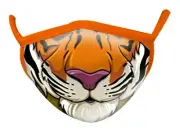 Mask Adults Tiger Wild Smiles By Wild Republic