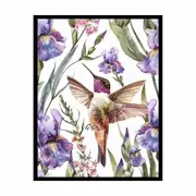 Hummingbird Framed Print Fine Art Poster Print