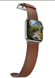 MobyFox - Classic Leather Brown Band