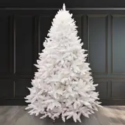 BAVARIAN White Fir 7ft Pre Lit Christmas Tree