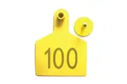 1-100 Cattle Number Ear Tags 7.5x10cm Set - XL Yellow Cow Sheep Livestock Labels
