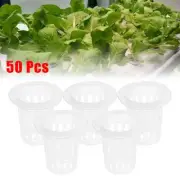 Net Cup Pots Basket Bucket Net Pot Orchids Plant Plastic Replacement 50x