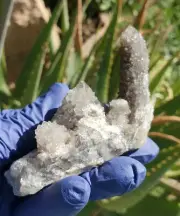 BLACK SPIRIT QUARTZ Cactus Crystal Light House Crystal 106g