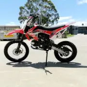 125CC DIRT BIKE PIT MOTOR TRAIL MOTOCROSS PRO E-START 14/17 BIG WHEEL DINGO Red