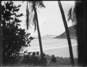 People sitting under palm trees on Lord Howe Island, NSW, 1930s Old Photo