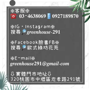 【歐式綠坊花苑】【gtco768】靈堂追思蝴蝶蘭花盆景(桌上型)~專人專車配送桃園殯儀館/中壢殯儀館/喪宅靈堂