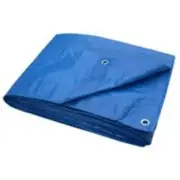 Toolbasix T1012BB70 Light Duty Plastic Tarp 10'x12', Blue