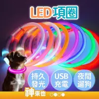 在飛比找Yahoo!奇摩拍賣優惠-【發光項圈】LED充電項圈 光纖款 寵物項圈 夜光項圈 寵物